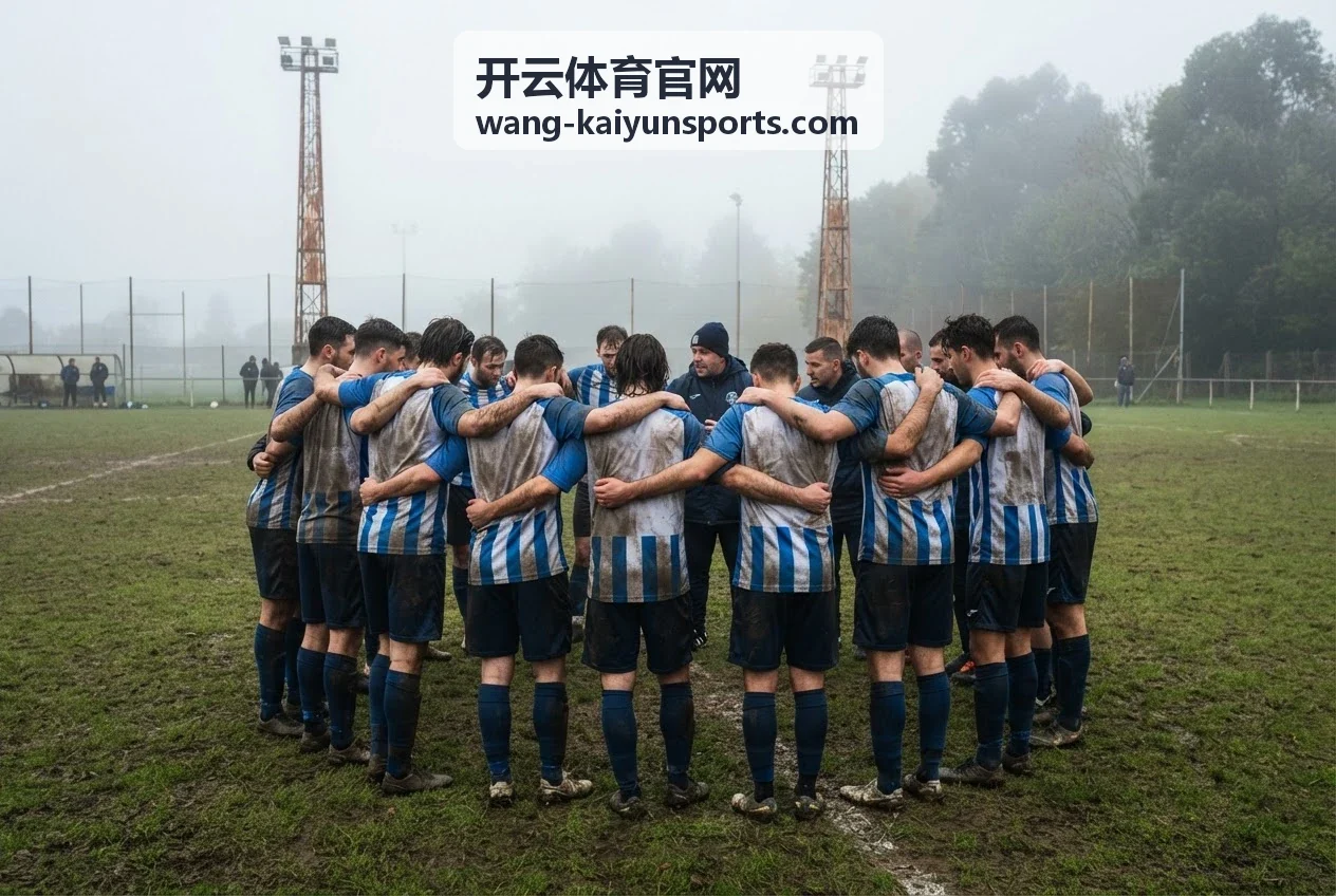 开云体育官网平台下载服务